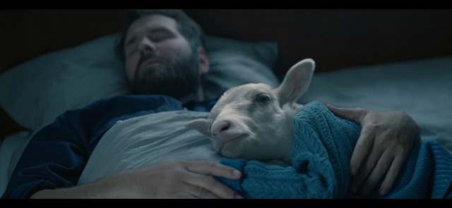 《羊崽》：冰岛冲击奥斯卡电影，竟是喜羊羊真人大电影？