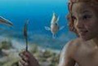 《小美人鱼》全球票房破5亿美元 北美反馈良好