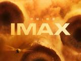  IMAX《沙丘2》主创特辑 “甜茶”力荐：《沙丘2》为IMAX量身打造 
